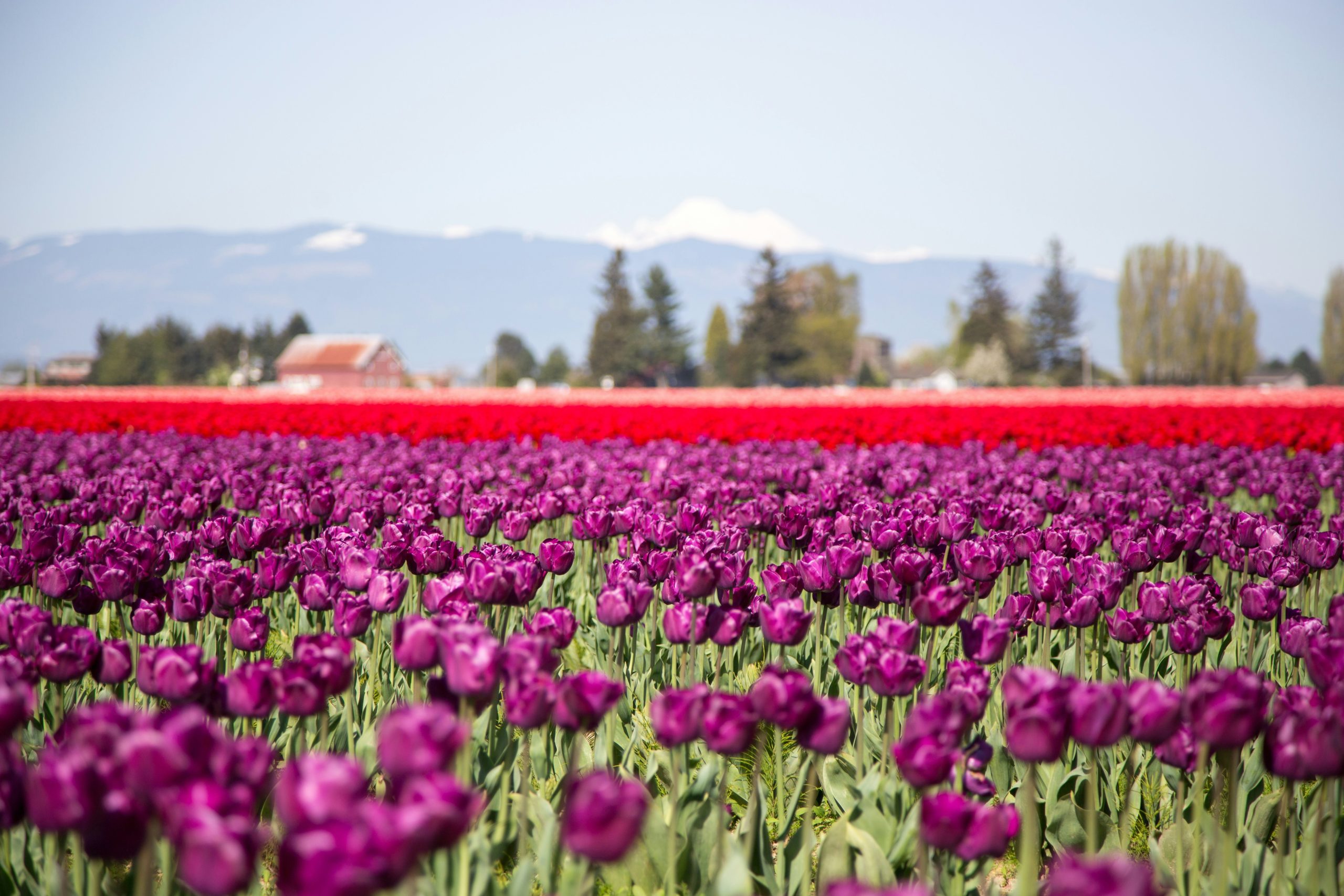 robert-koorenny-3oAQ6rYm1Yg-unsplash